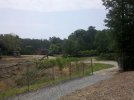 IMG_20110611_122639.jpg