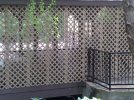 IMG_20110611_123408.jpg