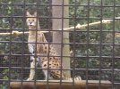 IMG_20110508_102419.jpg