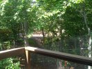IMG_20110612_150745.jpg