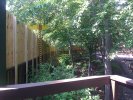 IMG_20110612_150752.jpg