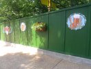 IMG_20110612_151152.jpg