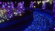 146_2539.JPG
