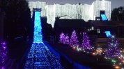 146_2541.JPG