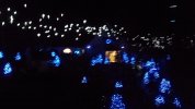 146_2547.JPG