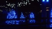 146_2581.JPG