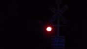 146_2584.JPG
