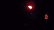 146_2602.JPG