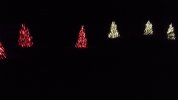 146_2603.JPG