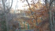 146_2535.JPG