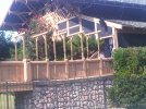IMG00416-20120831-1600.jpg