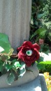 2012-09-08_13-23-41_0.jpg
