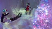 06- Ice Palace - fake penguins 2.jpg