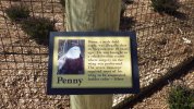 Penny sign.JPG