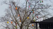 Easter eggs tree.JPG
