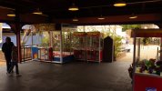 Games at Trade Winds 2.JPG