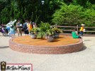 DSC00386.jpg