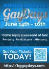 gay-days-ad-flyer.jpg