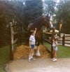 SCAN0044.JPG