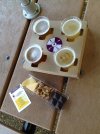 belgian sampler.JPG