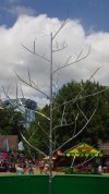 Fishpond tree thing 3.JPG