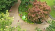 IllumiNights - Mr. Turtle 3 - aerial view.JPG