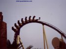 montu with mounted camera.jpg