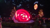 IllumiNights - snail 1.JPG