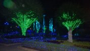 IllumiNights - Magic Garden 1.JPG
