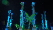 IllumiNights - Magic Garden 2.JPG