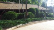 LNM Topiary 1.JPG