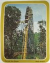 6 Car Postcard.jpg