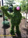 Grover topiary.jpg