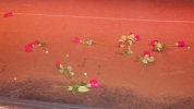 CF - roses & popcorn.JPG