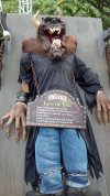 IMG_20130828_174957_517.jpg