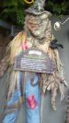 IMG_20130828_175143_548.jpg