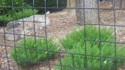Eagle Ridge - fence photo hole.JPG