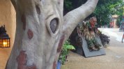 HOS - Ireland - spook 1.JPG