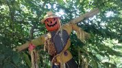 IMG_20130831_151623_477.jpg