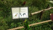 Lorikeet Glen 2.JPG