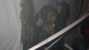 ROAE - Alien at end.JPG