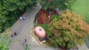HS - Great Pumpkin from SB.JPG
