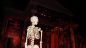 DIU - 'dem bones.JPG