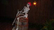 PoS - bones.JPG