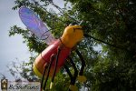IMG_1959.jpg