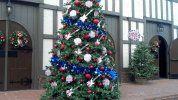 IMG_20131122_143539_342.jpg