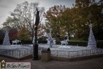 IMG_3117.jpg