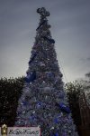 IMG_3124.jpg