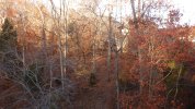 Deck - view from bridge 1.JPG