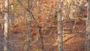 Deck - view from bridge 2.JPG